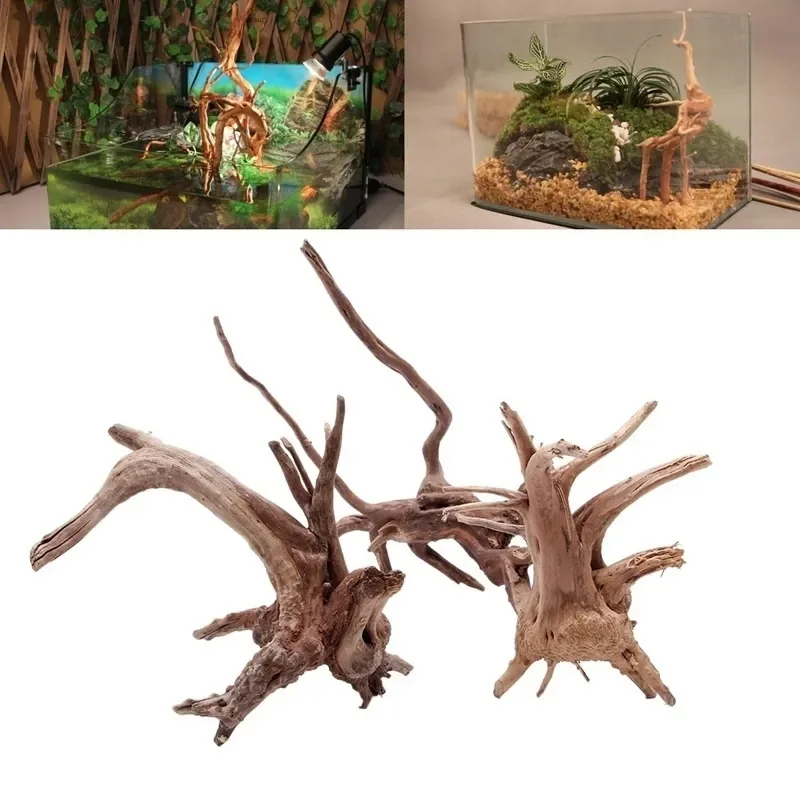 Aquarium Innovative Marine - Doğal ağaç gövdesi Driftwood akvaryum balık