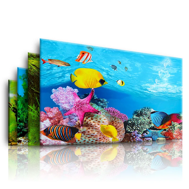 Akvaryum için arka plan 3d Eti - Aquarium Innovative Marine incelemesi ve fiyatı