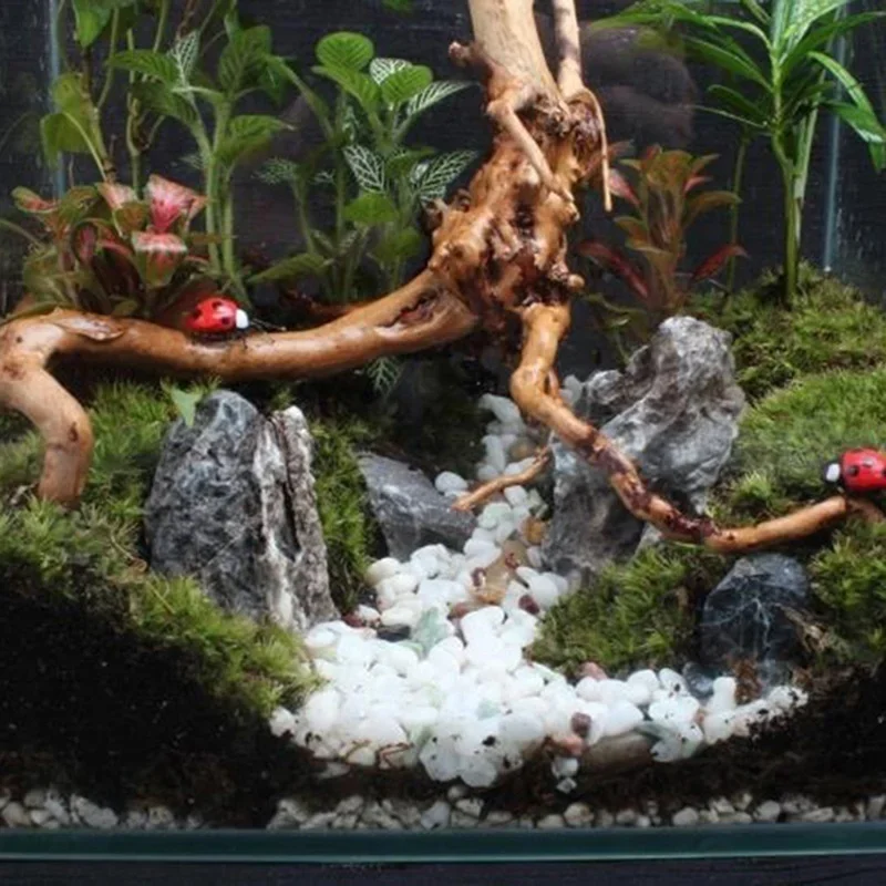 Doğal ağaç gövdesi Driftwood a - Aquarium Innovative Marine incelemesi ve fiyatı