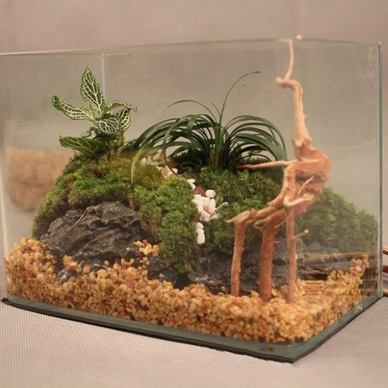 Doğal ağaç gövdesi Driftwood a - Aquarium Innovative Marine incelemesi ve fiyatı