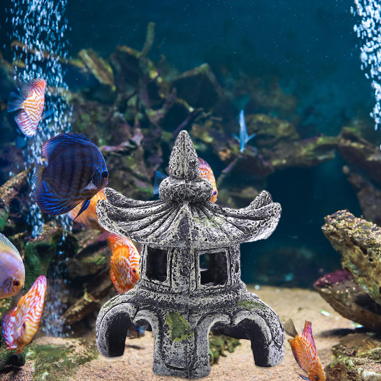 Akvaryum süs akvaryum aksesuar - Aquarium Innovative Marine incelemesi ve fiyatı