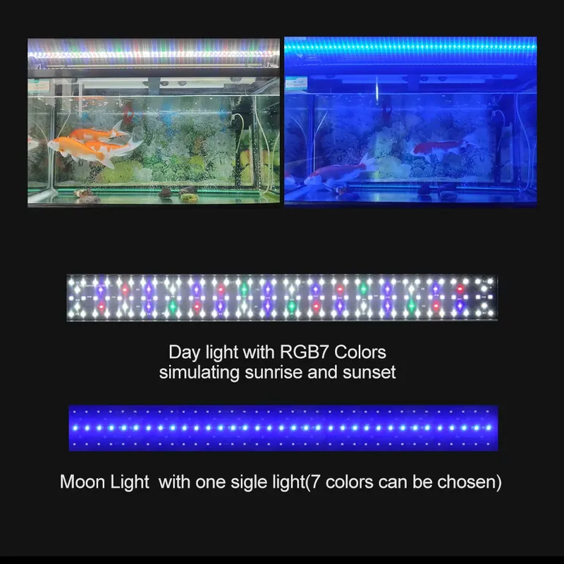 SIROKA Yüksek Kaliteli IP68 Su - Marine Aquarium Hours incelemesi ve fiyatı