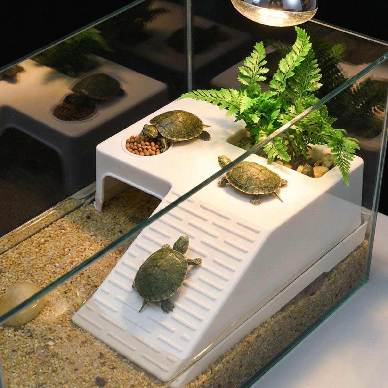 Kaplumbağa Dinlenme Platformu  - Aquarium Innovative Marine incelemesi ve fiyatı