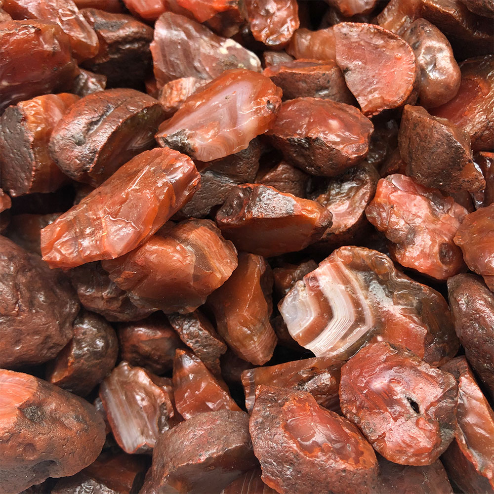 1 adet Rastgele Kaba Ham Carne - Aquarium Innovative Marine incelemesi ve fiyatı