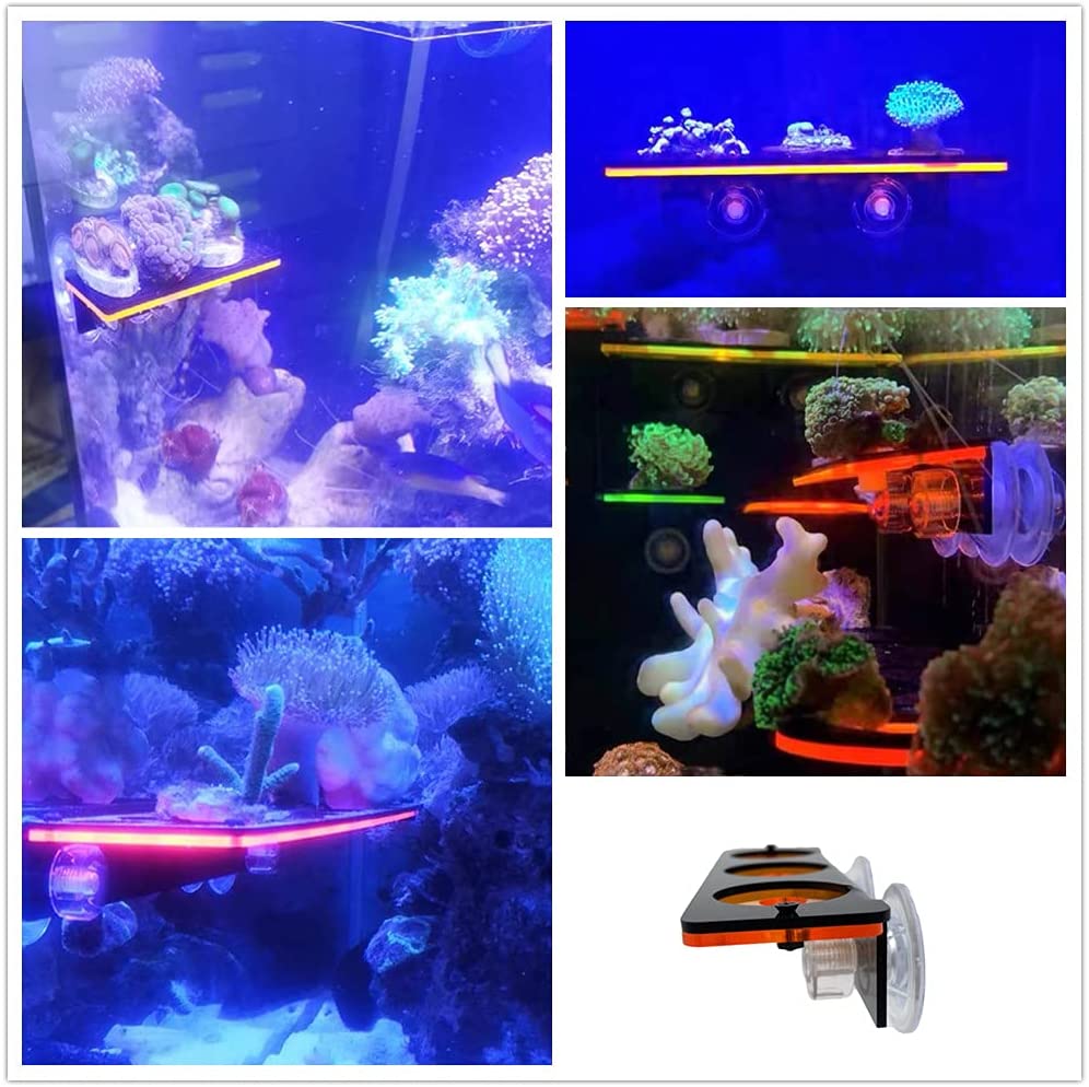 Floresan Mercan Frag Fiş Brake - Aquarium Innovative Marine incelemesi ve fiyatı